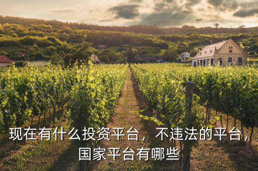 現(xiàn)在有什么投資平臺，不違法的平臺，國家平臺有哪些