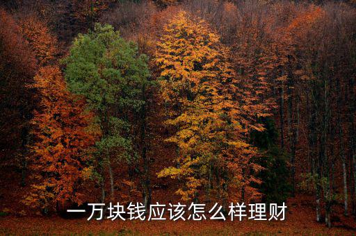 一萬塊錢應該怎么樣理財