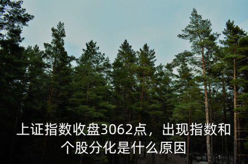 上證指數(shù)收盤3062點(diǎn)，出現(xiàn)指數(shù)和個(gè)股分化是什么原因