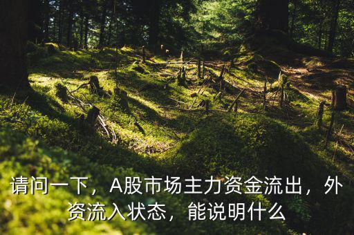 請問一下，A股市場主力資金流出，外資流入狀態(tài)，能說明什么