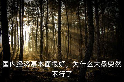 國內經(jīng)濟基本面很好，為什么大盤突然不行了