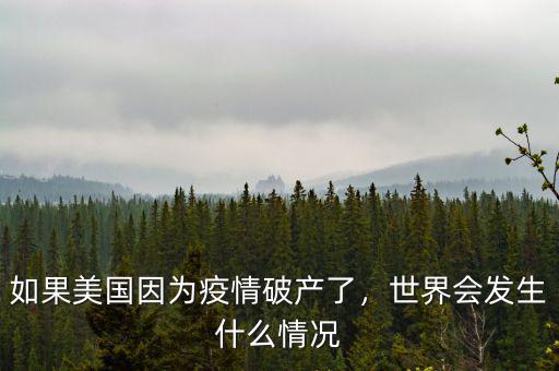 如果美國因為疫情破產(chǎn)了，世界會發(fā)生什么情況