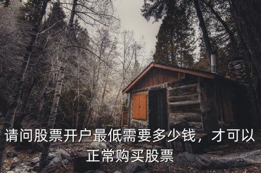 請(qǐng)問(wèn)股票開(kāi)戶(hù)最低需要多少錢(qián)，才可以正常購(gòu)買(mǎi)股票