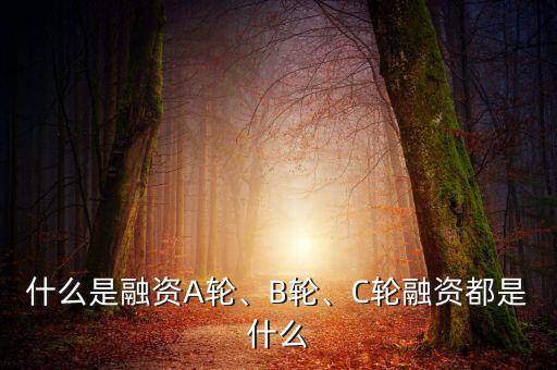 什么是融資A輪、B輪、C輪融資都是什么