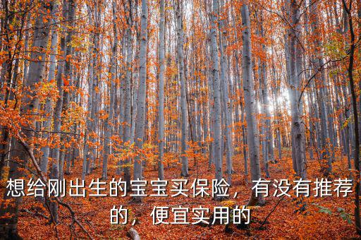 想給剛出生的寶寶買(mǎi)保險(xiǎn)，有沒(méi)有推薦的，便宜實(shí)用的