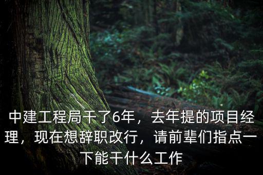 中建工程局干了6年，去年提的項(xiàng)目經(jīng)理，現(xiàn)在想辭職改行，請(qǐng)前輩們指點(diǎn)一下能干什么工作