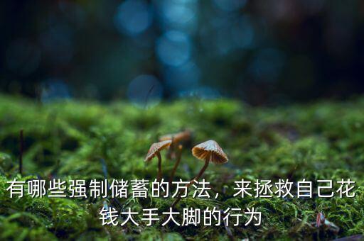 有哪些強制儲蓄的方法，來拯救自己花錢大手大腳的行為