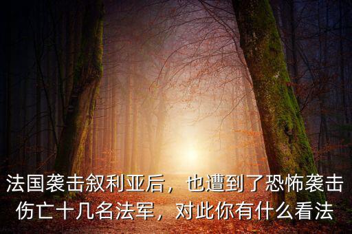 法國襲擊敘利亞后，也遭到了恐怖襲擊傷亡十幾名法軍，對此你有什么看法