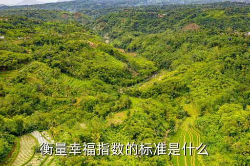 衡量幸福指數(shù)的標(biāo)準(zhǔn)是什么