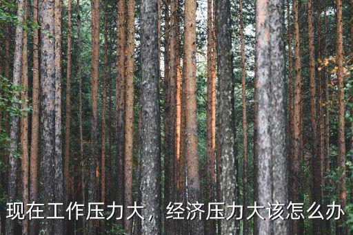 現(xiàn)在工作壓力大，經(jīng)濟(jì)壓力大該怎么辦