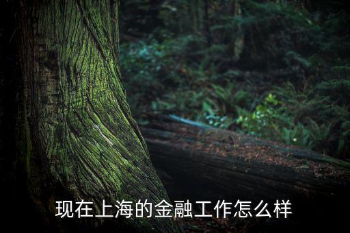上?；バ沤鹑谠趺礃?上海立信會計(jì)金融學(xué)院怎么樣