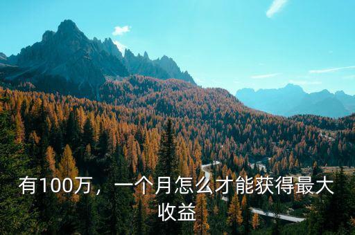 有100萬，一個(gè)月怎么才能獲得最大收益