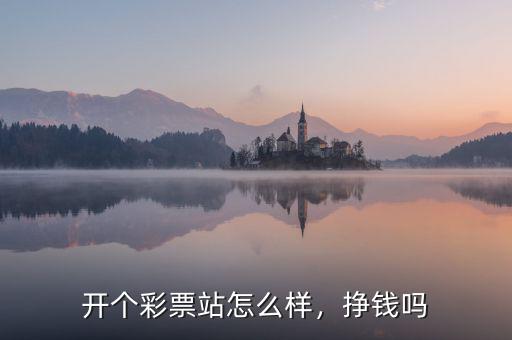 開個(gè)彩票站怎么樣，掙錢嗎