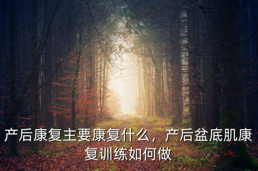 產(chǎn)后康復(fù)主要康復(fù)什么，產(chǎn)后盆底肌康復(fù)訓(xùn)練如何做