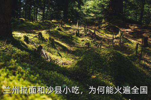 蘭州拉面和沙縣小吃，為何能火遍全國