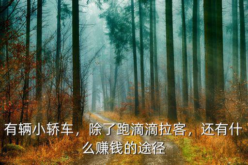 有輛小轎車，除了跑滴滴拉客，還有什么賺錢的途徑