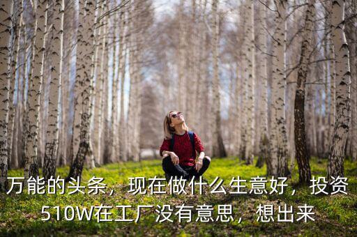萬能的頭條，現(xiàn)在做什么生意好，投資510W在工廠沒有意思，想出來