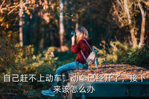 自己趕不上動車，動車已經(jīng)開了，接下來該怎么辦