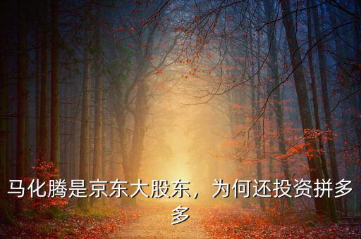 馬化騰是京東大股東，為何還投資拼多多