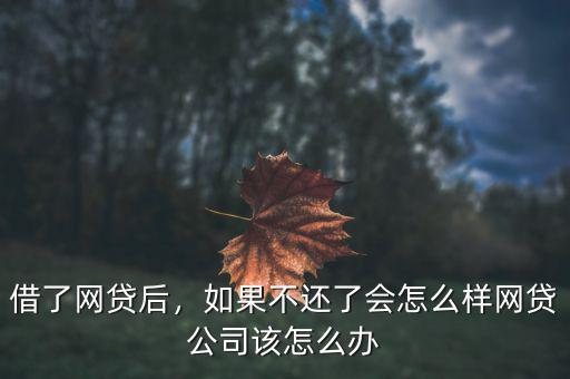 借了網(wǎng)貸后，如果不還了會(huì)怎么樣網(wǎng)貸公司該怎么辦
