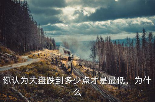 你認為大盤跌到多少點才是最低，為什么