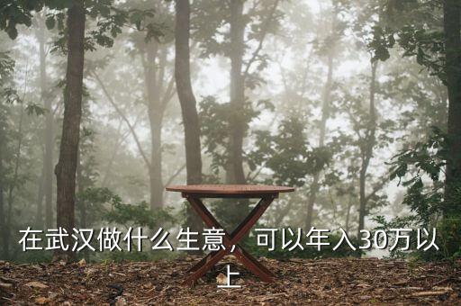 在武漢做什么生意，可以年入30萬以上