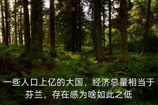 一些人口上億的大國，經(jīng)濟(jì)總量相當(dāng)于芬蘭，存在感為啥如此之低