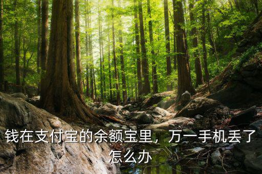 錢在支付寶的余額寶里，萬一手機(jī)丟了怎么辦