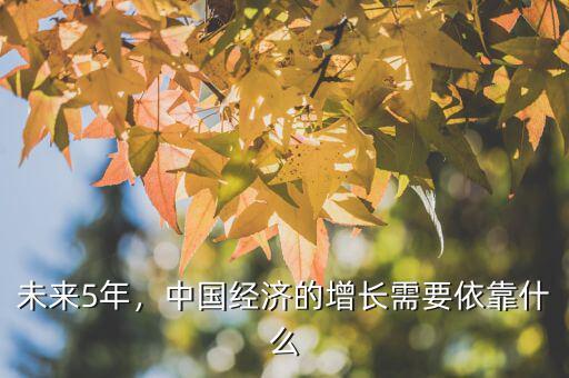 未來(lái)5年，中國(guó)經(jīng)濟(jì)的增長(zhǎng)需要依靠什么