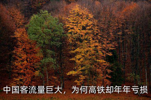 中國客流量巨大，為何高鐵卻年年虧損