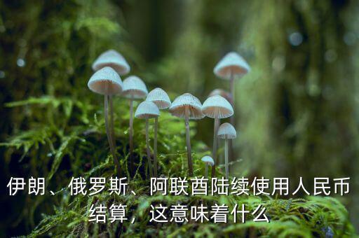 伊朗、俄羅斯、阿聯酋陸續(xù)使用人民幣結算，這意味著什么