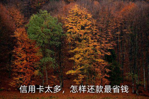 信用卡太多，怎樣還款最省錢(qián)