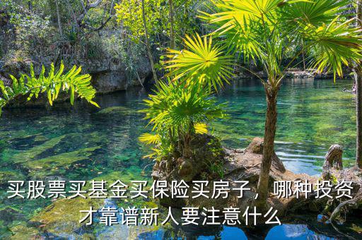 買(mǎi)股票買(mǎi)基金買(mǎi)保險(xiǎn)買(mǎi)房子，哪種投資才靠譜新人要注意什么