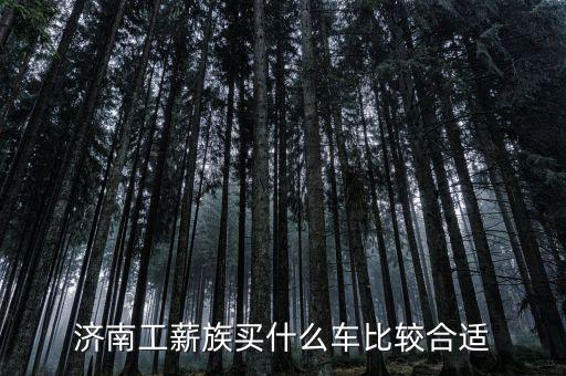 工薪族買(mǎi)車買(mǎi)什么車好啊,工薪族30萬(wàn)預(yù)算