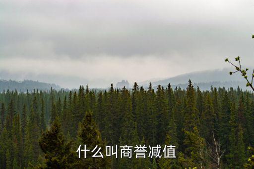 什么是商譽(yù)減值測試,商譽(yù)減值是壞事嗎
