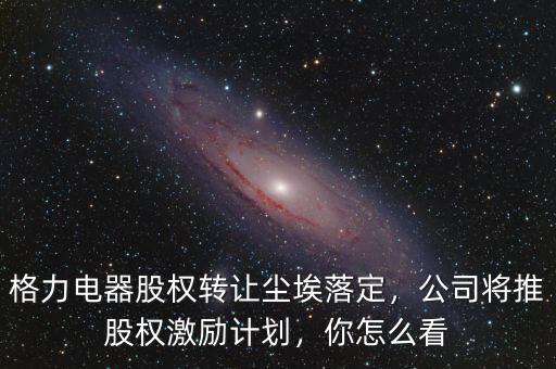 格力電器股權(quán)轉(zhuǎn)讓塵埃落定，公司將推股權(quán)激勵(lì)計(jì)劃，你怎么看