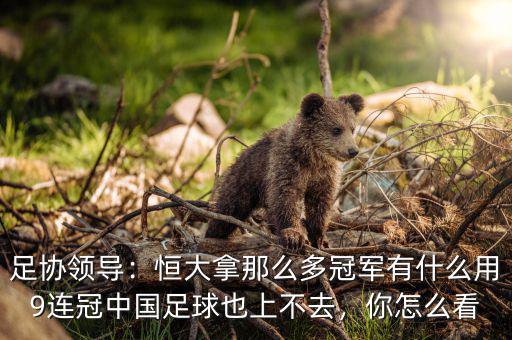 足協(xié)領(lǐng)導(dǎo)：恒大拿那么多冠軍有什么用9連冠中國足球也上不去，你怎么看
