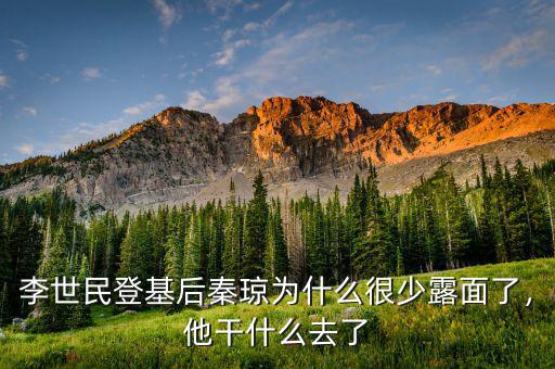 李世民登基后秦瓊為什么很少露面了，他干什么去了