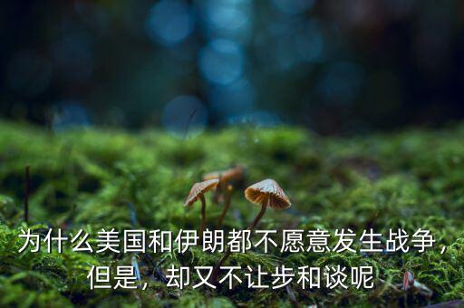 為什么美國(guó)和伊朗都不愿意發(fā)生戰(zhàn)爭(zhēng)，但是，卻又不讓步和談呢