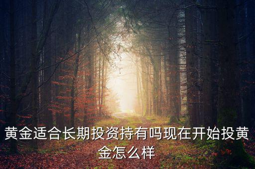 網(wǎng)絡黃金投資怎么樣,現(xiàn)在開始投黃金怎么樣