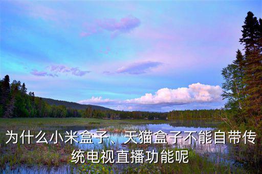 為什么小米盒子、天貓盒子不能自帶傳統(tǒng)電視直播功能呢