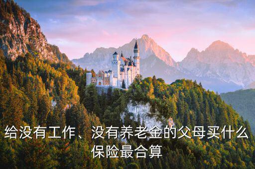 給沒有工作、沒有養(yǎng)老金的父母買什么保險(xiǎn)最合算
