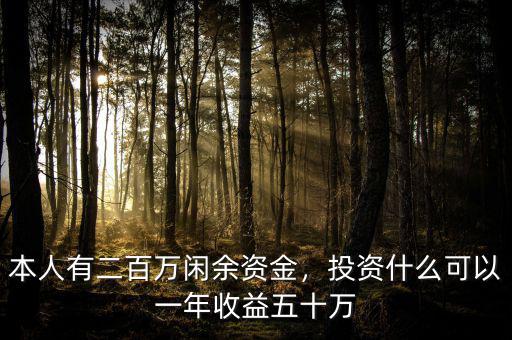 本人有二百萬閑余資金，投資什么可以一年收益五十萬