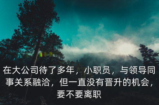 在大公司待了多年，小職員，與領(lǐng)導(dǎo)同事關(guān)系融洽，但一直沒有晉升的機(jī)會(huì)，要不要離職