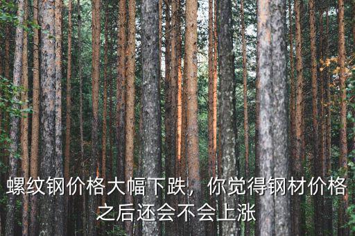 螺紋鋼價(jià)格大幅下跌，你覺(jué)得鋼材價(jià)格之后還會(huì)不會(huì)上漲