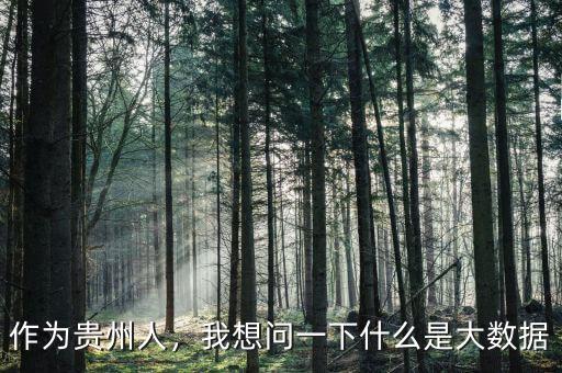 貴州大數(shù)據(jù)產業(yè)是什么,我想問一下什么是大數(shù)據(jù)