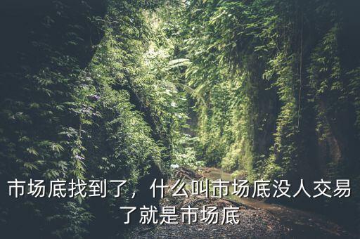 市場底找到了，什么叫市場底沒人交易了就是市場底