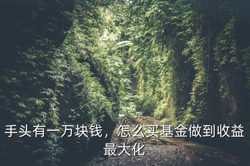 手頭有一萬(wàn)塊錢，怎么買基金做到收益最大化