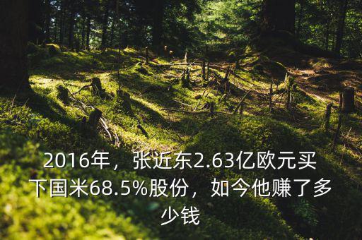 2016年，張近東2.63億歐元買下國米68.5%股份，如今他賺了多少錢