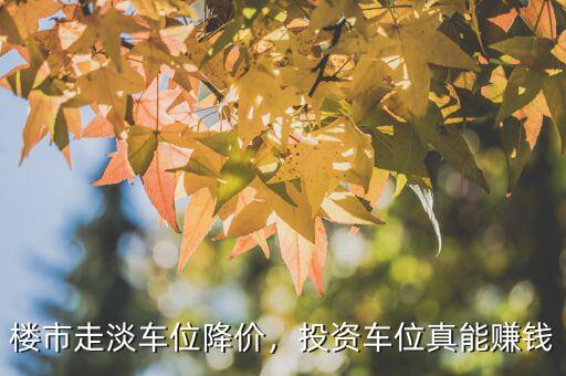樓市走淡車位降價(jià)，投資車位真能賺錢